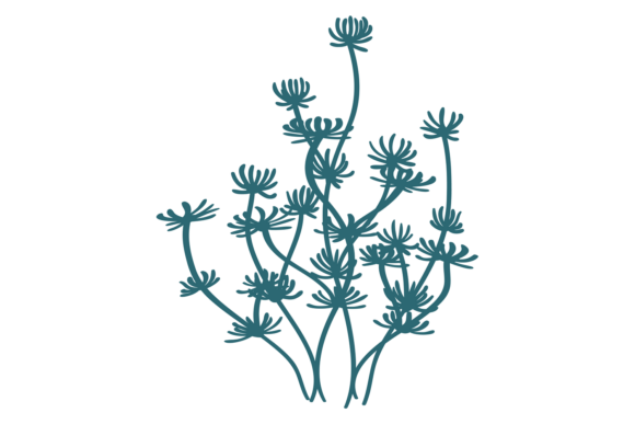 Aquatic Plant. Aquarium Decorative Botan Graphics