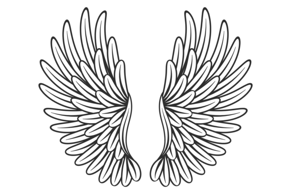Decorative Wings Drawing: Graphics & Illustrations
