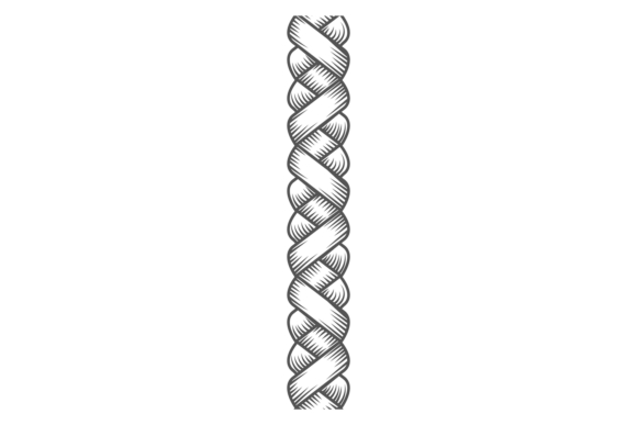 Plait Pattern. Engraved Decorative Knitt